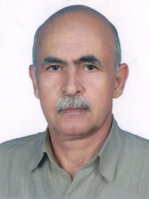 پروفسور محمدعلی کریم زاده میبدی