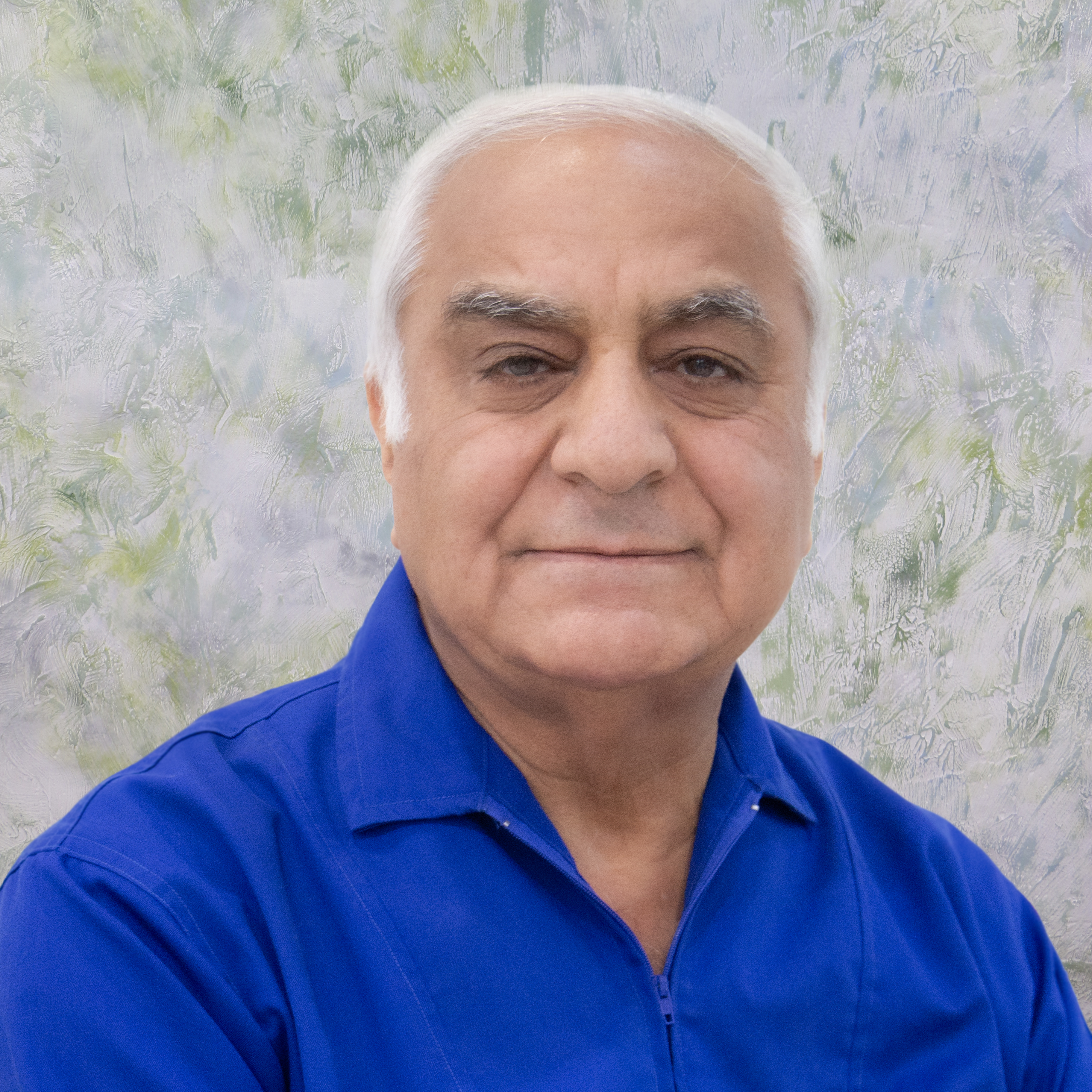 آقای محمد حسین امیرارجمند