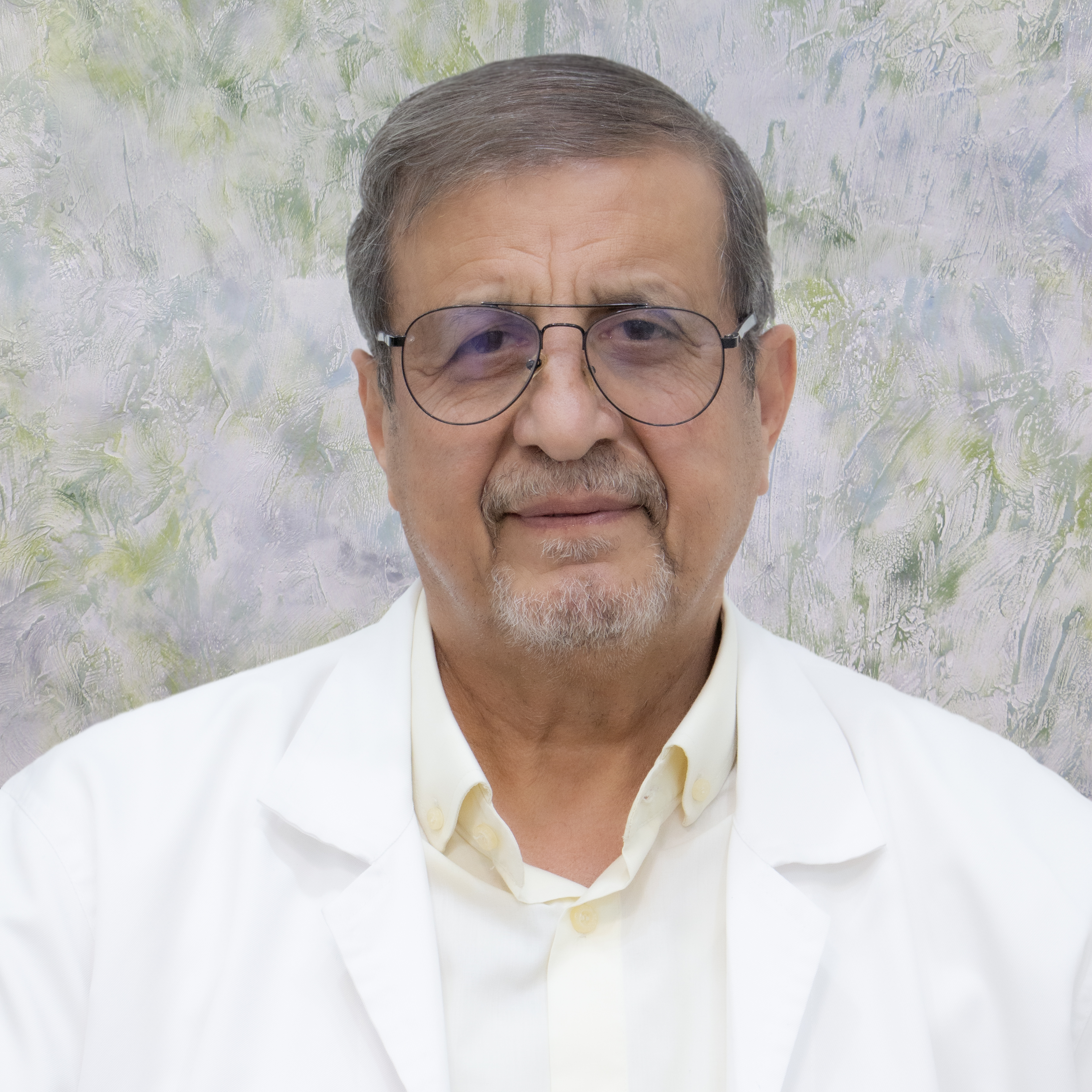 دکتر سراج الدین وحیدی مهرجردی