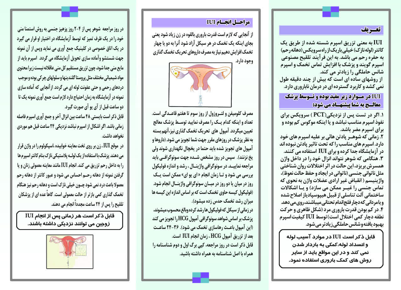 تصویر ادیتور 